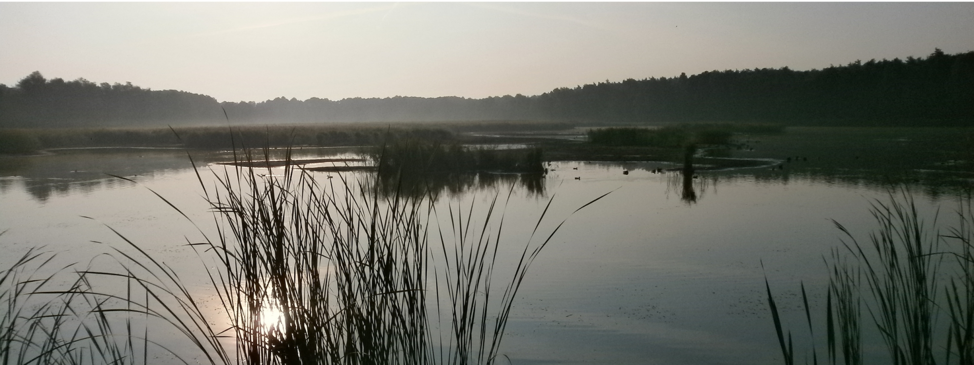 Park Krajobrazowy Cysterskie Kompozycje Krajobrazowe Rud Wielkich
